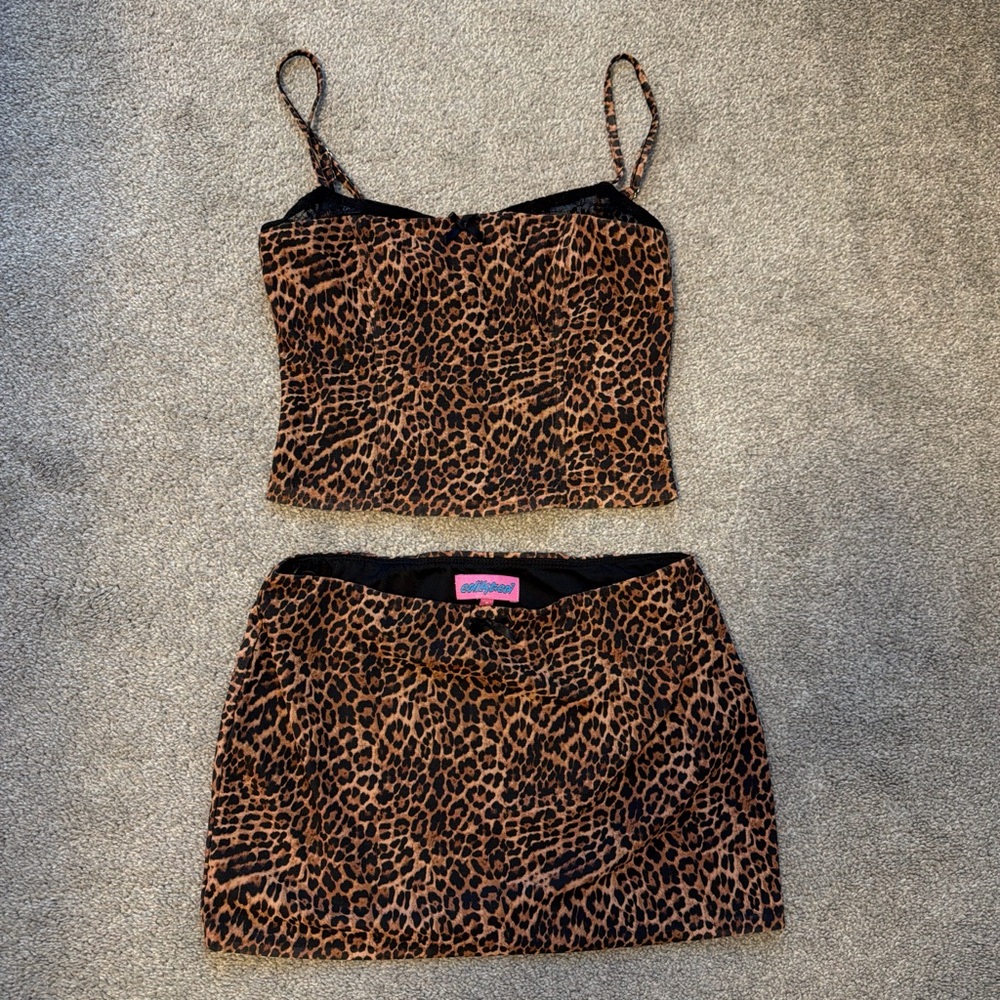 Leopard Print Crop Top and Skirt Set